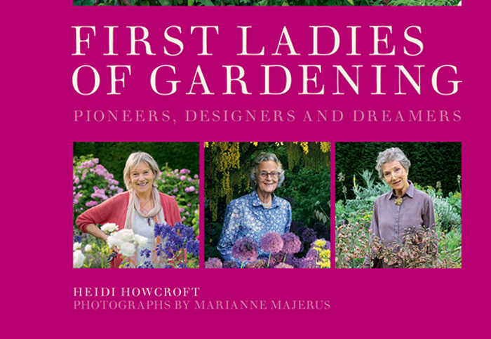 banner-First_Ladies_cover