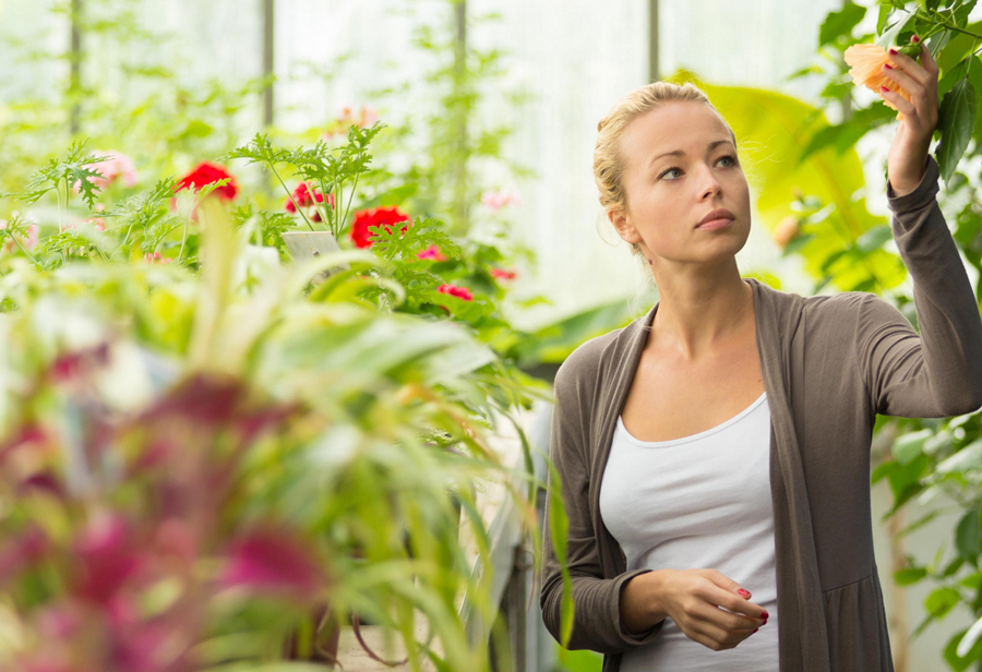 Online provider to offer RHS gardening qualification