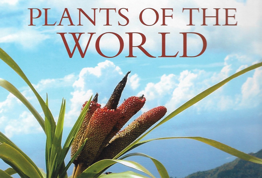 An Illustrated Encyclopedia of Vascular Plants Plants of the World 