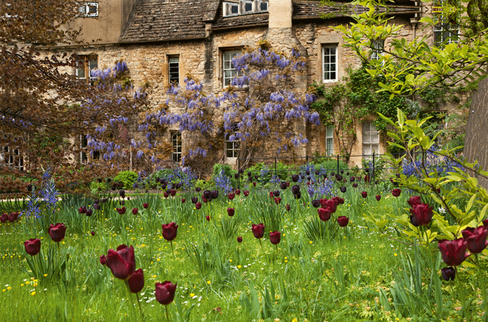 Review Oxford College Gardens